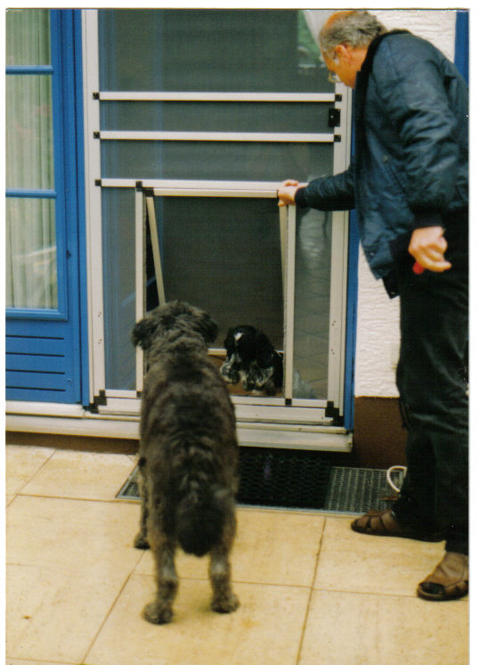 Fliegengitter Drehrahmen Tür mit Hundeklappe
